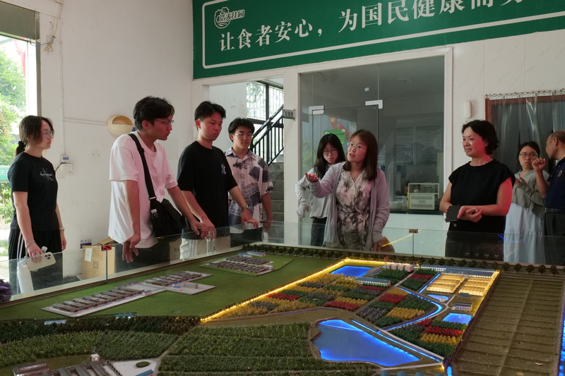 P1013284.JPG